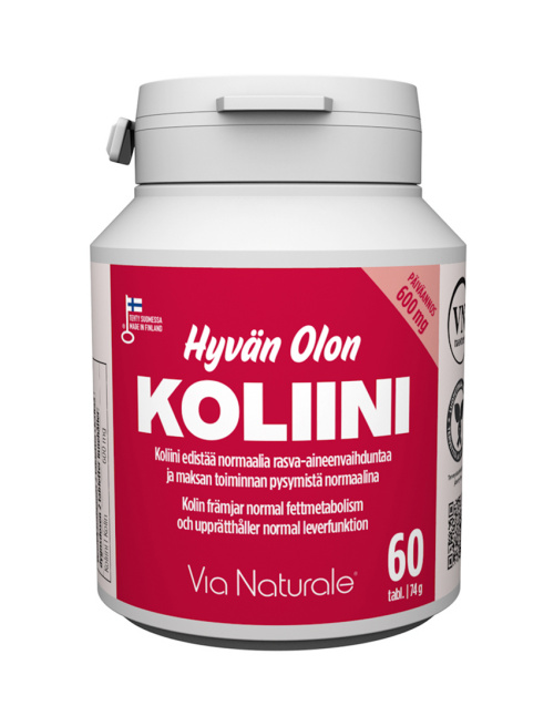 VN Hyvän Olon Холин 600 мг 60 таблеток